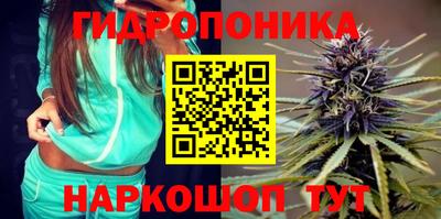 герыч Новодвинск